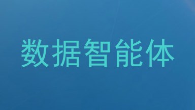 数据智能体