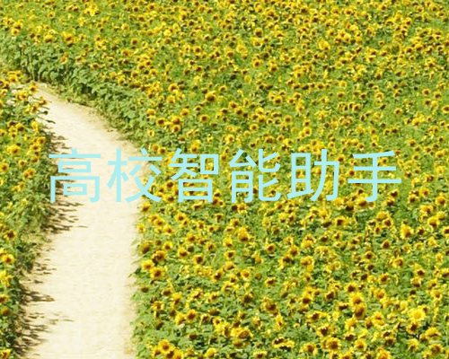 高校智能助手