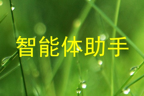 智能体助手