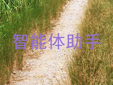 智能体助手
