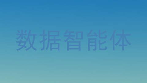 数据智能体