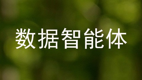 数据智能体