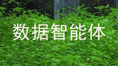 数据智能体