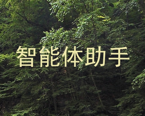 智能体助手