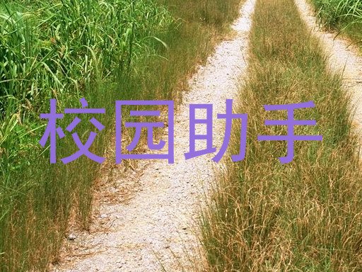 校园助手