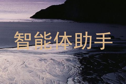 智能体助手