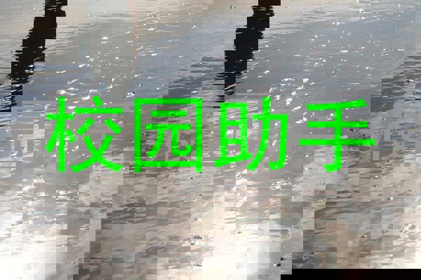 校园助手