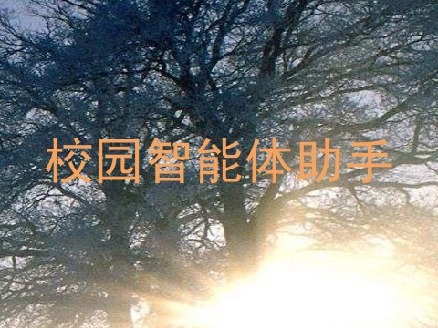 校园智能体助手