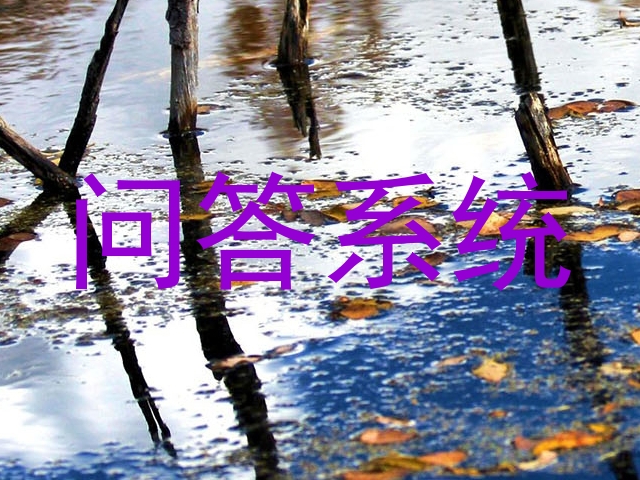 问答系统