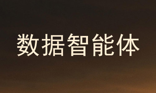 数据智能体