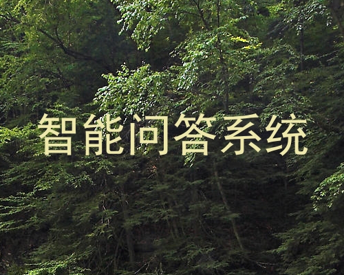 智能问答系统