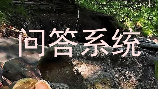 问答系统