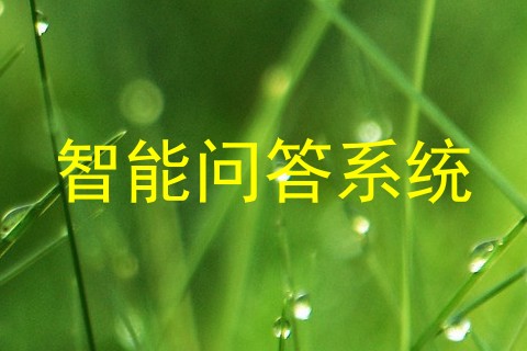 智能问答系统