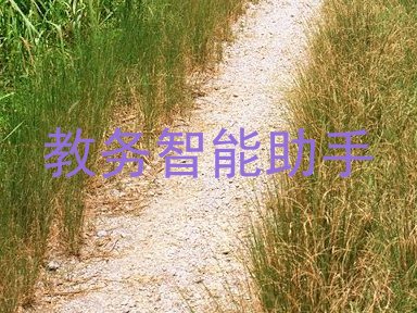 教务智能助手