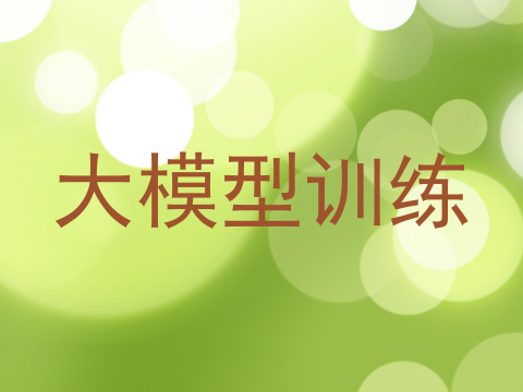 大模型训练