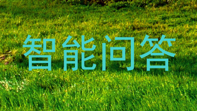 智能问答