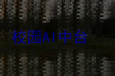 校园AI中台
