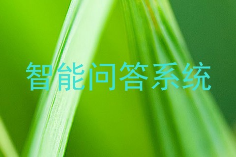 智能问答系统