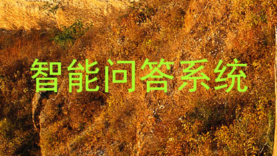 智能问答系统