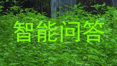 智能问答