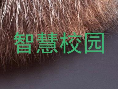 智慧校园