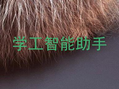学工智能助手