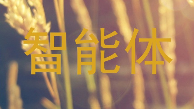 智能体