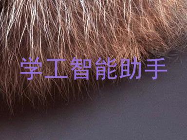 学工智能助手