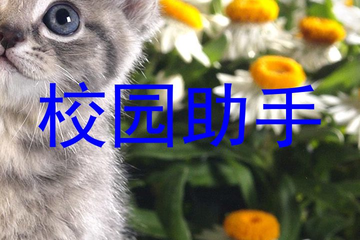 校园助手