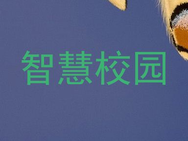 智慧校园