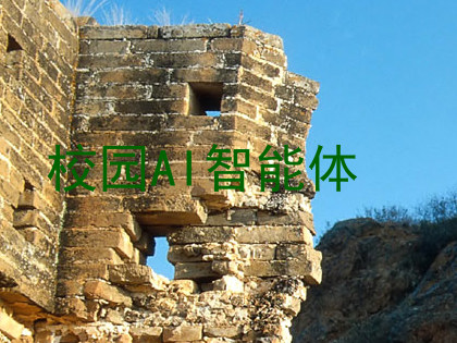 校园AI智能体