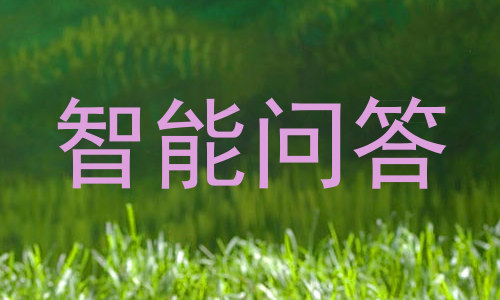 智能问答