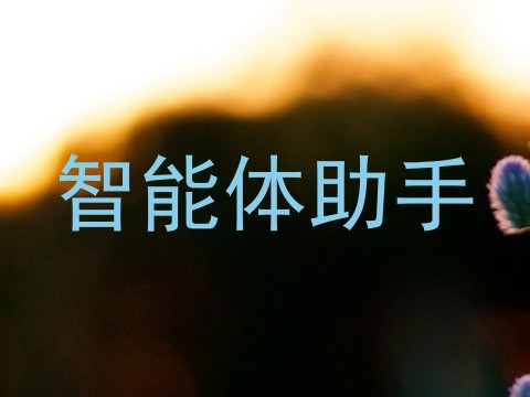 智能体助手
