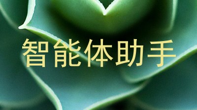 智能体助手