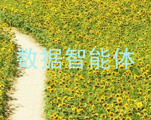 数据智能体