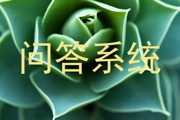 智能问答