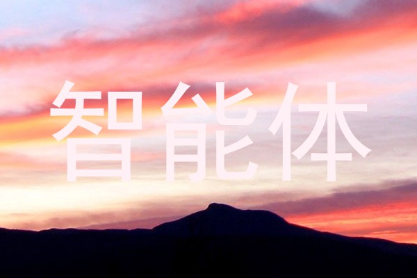 智能体