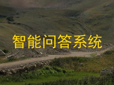 智能问答系统