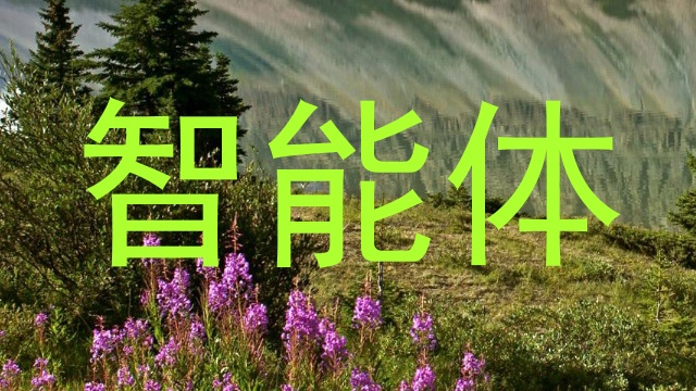 智能体