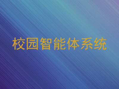 校园智能体系统