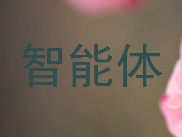 智能体