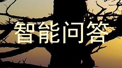 智能问答