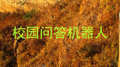 校园问答机器人
