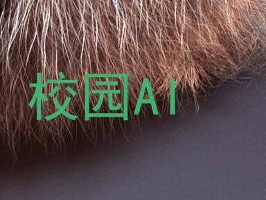 校园AI