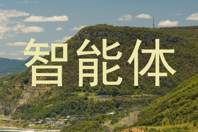 智能体