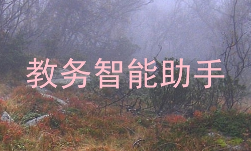 教务智能助手