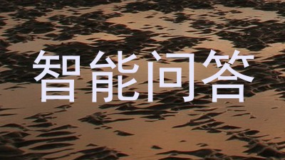 智能问答
