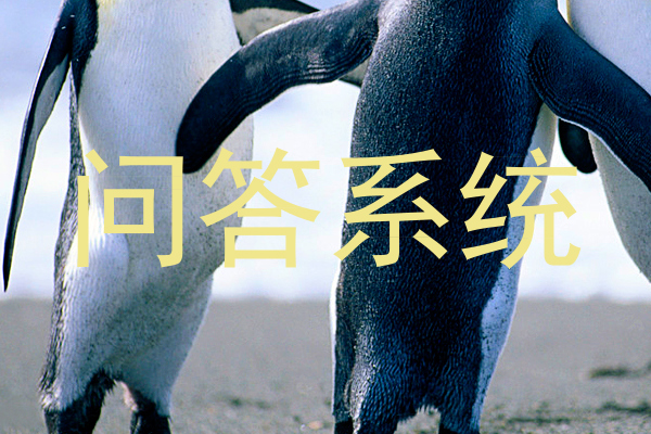 问答系统
