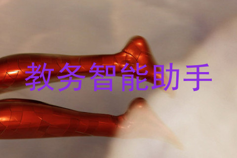 教务智能助手