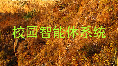 校园智能体系统